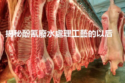 揭秘酚氰廢水處理工藝的以后之路？